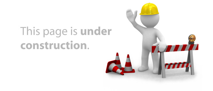 The page is under construction...